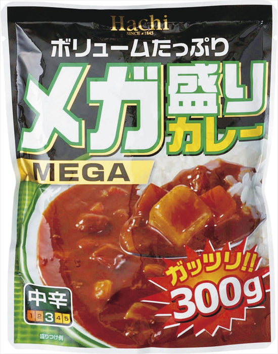 福箱 メガ盛りカレー2点セット