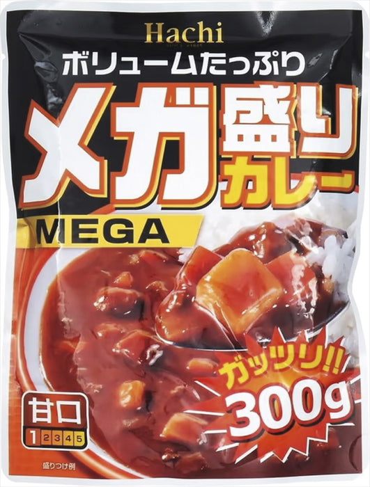 福箱 メガ盛りカレー2点セット