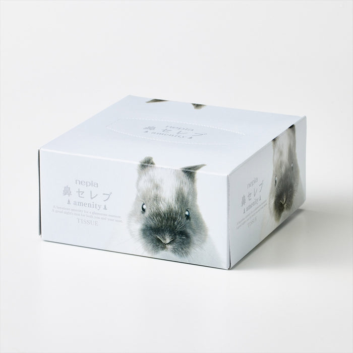 ネピア鼻セレブ／アメニティBOXティッシュ62W