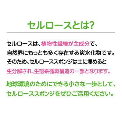 エコ習慣！圧縮セルローススポンジ(アース) - ノベルティ本舗