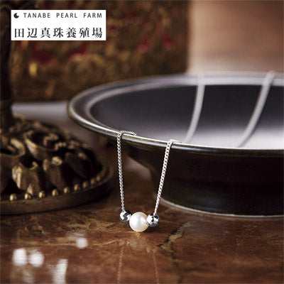 日本の贈り物【梅（うめ）】