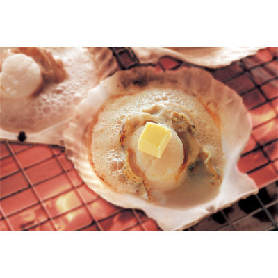 チョイスｅカード　うましま【月コース】