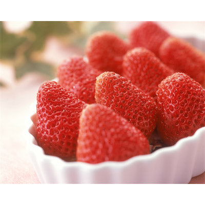 チョイスｅカード　うましま【里コース】