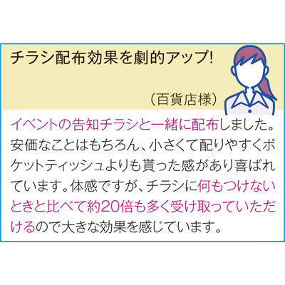 モバイルクリーナードライ２枚入