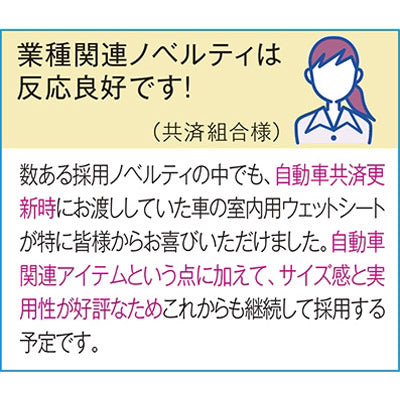 車の室内用ウェットシート２０枚入