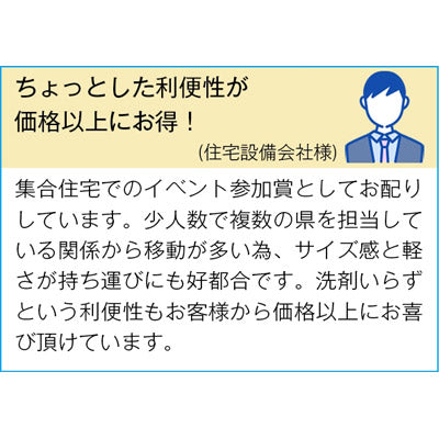 ピカ王ミニ