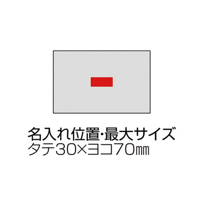 プラチナカラー・バスタオル - ノベルティ本舗