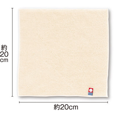ザ・今治タオル＃ｓｕｓｔａｉｎａｂｌｅ