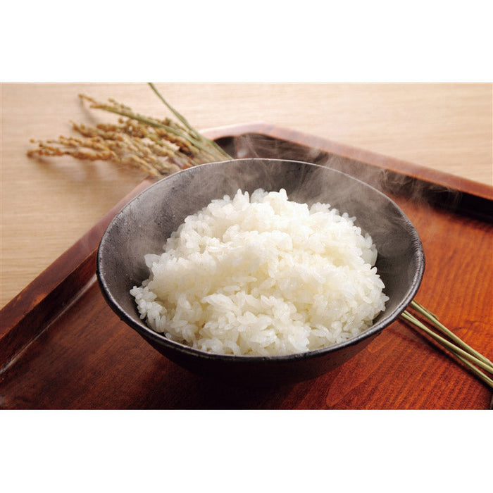 新潟米食べ比べ