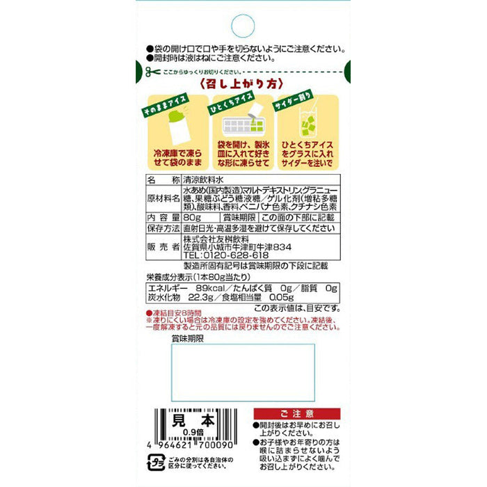 凍らせる　マスクメロンアイス80g