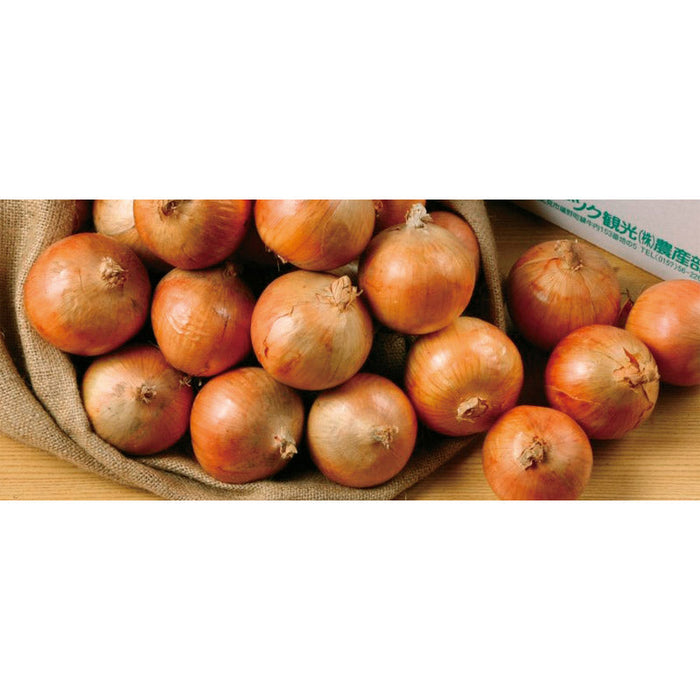 玉ねぎ詰め放題20kg