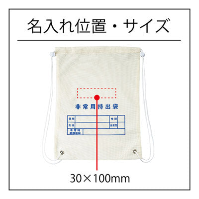 A4ボックス難燃性de持出袋30点セット