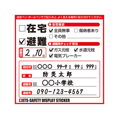 ETS-SAFETY DISPLAY STICKER シールタイプ100枚