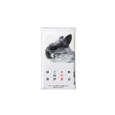 ネピア　鼻セレブＩＴＳＵＭＯ４８Ｗ（名刺ポケット付き）