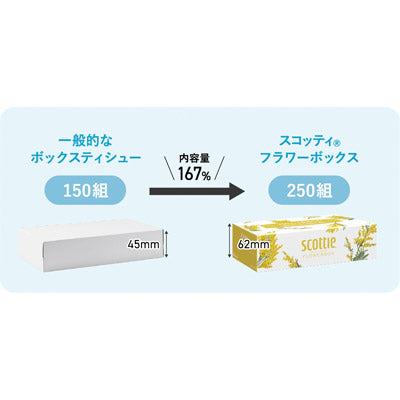 スコッティティシューフラワー２５０Ｗ３個組