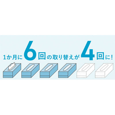 スコッティティシューフラワー２５０Ｗ３個組