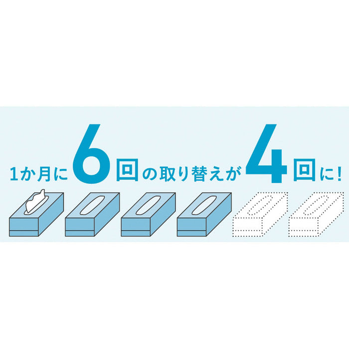 スコッティティシューフラワー２５０Ｗ３個組