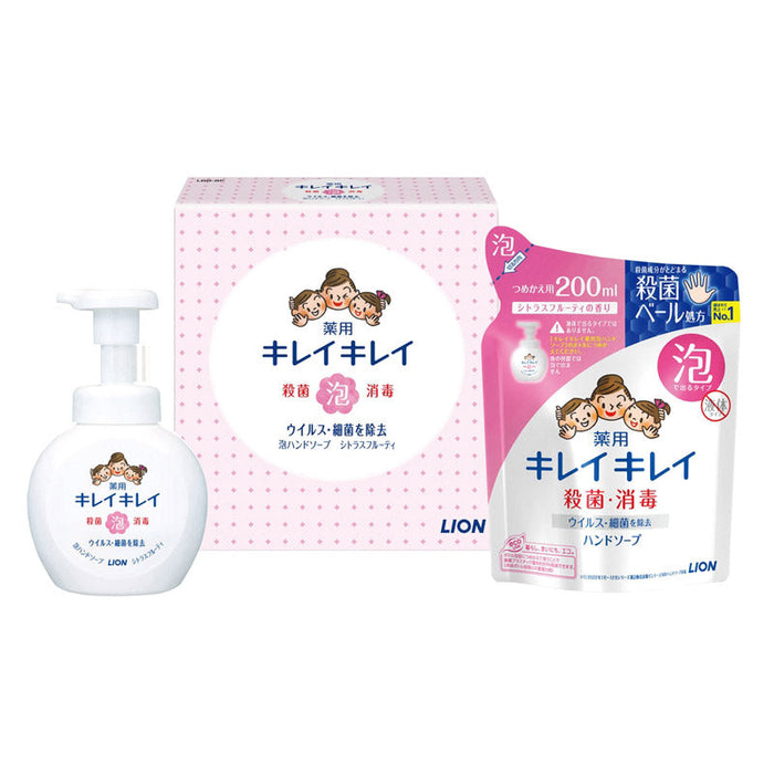 【ＬＩＯＮ１～９カートン】キレイキレイ泡ハンドソープ２点セット