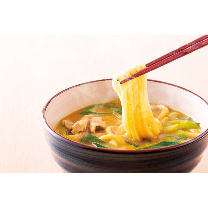 濃厚旨味　讃岐カレーうどん２食入