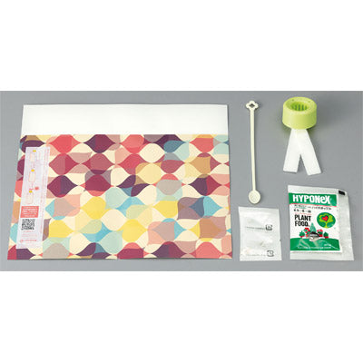 ペットボトルで育てる水耕栽培キット