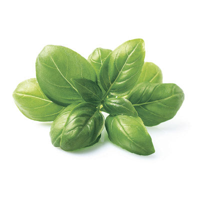 ペットボトルで育てる水耕栽培キット