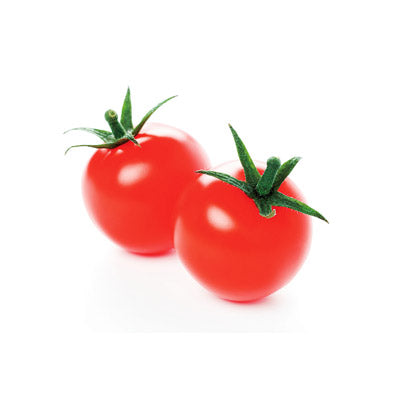 ペットボトルで育てる水耕栽培キット