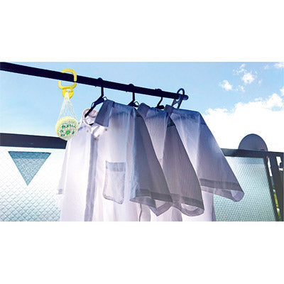 さよならカメちゃん　掛けタイプ