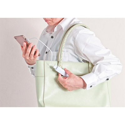 ポケットバッテリー2000