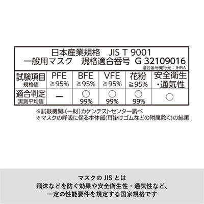 衛生マスク　100枚入り